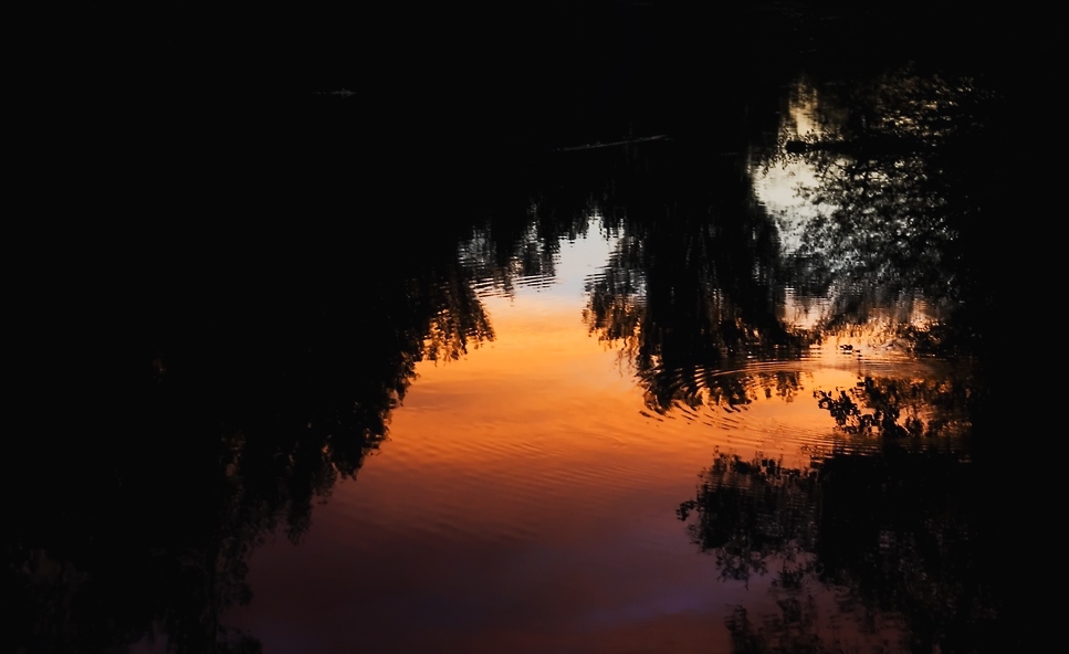 Evening reflection