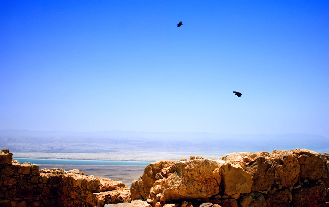 Masada: Born To Be Free