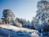 The last winter picture)
